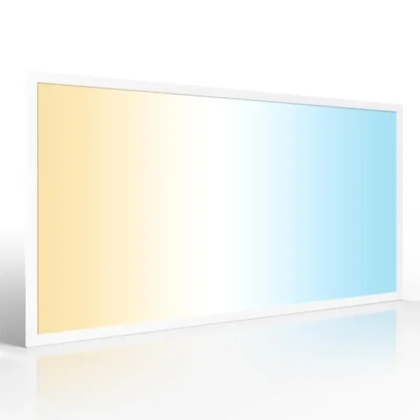 24 Volt LED Panel 60 x 120 cm CCT
